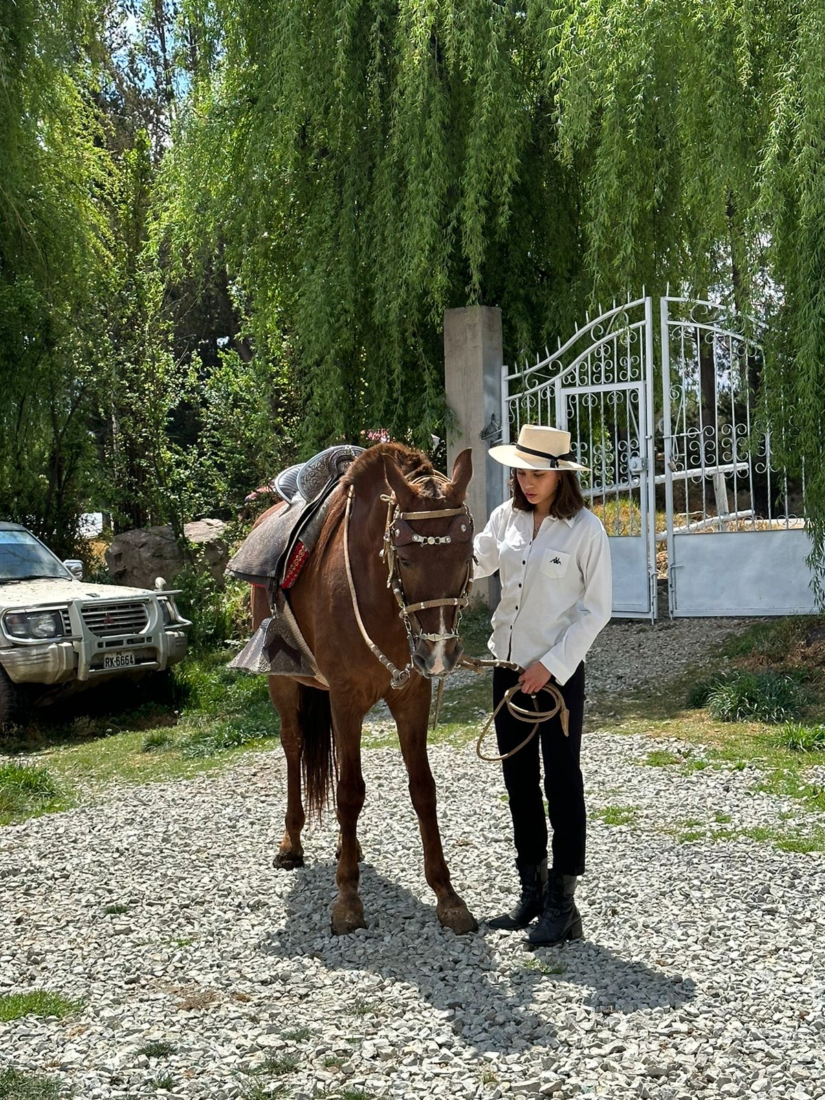 Caballo Peruano de Paso en el Valle Sagrado