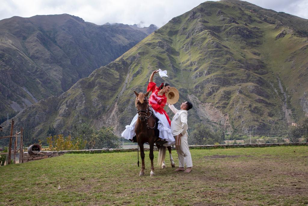Caballo Peruano de Paso